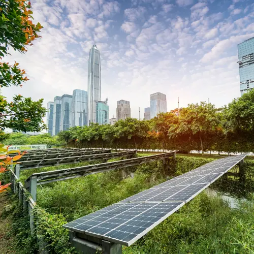 Environmental landscape