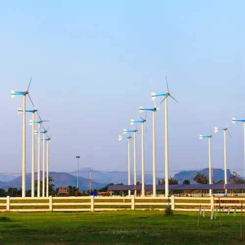 Wind turbine fleet